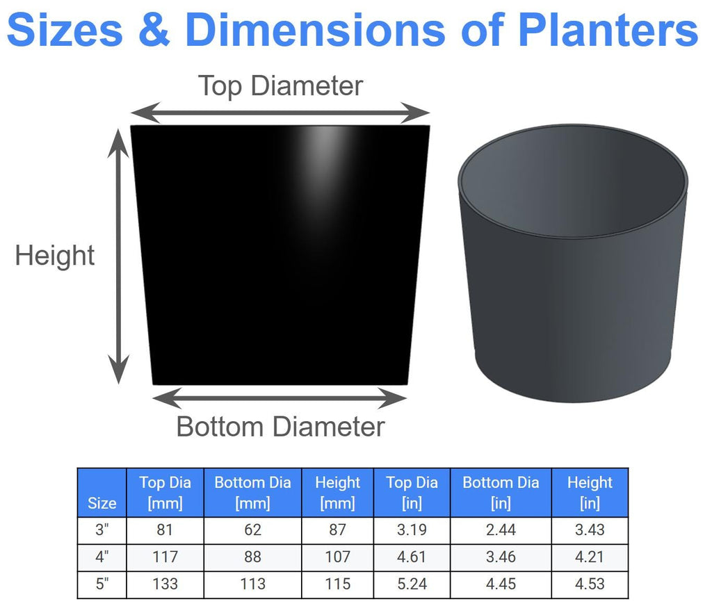 HexT Planter: Modern Twist PETG Plant Pot with Drainage
