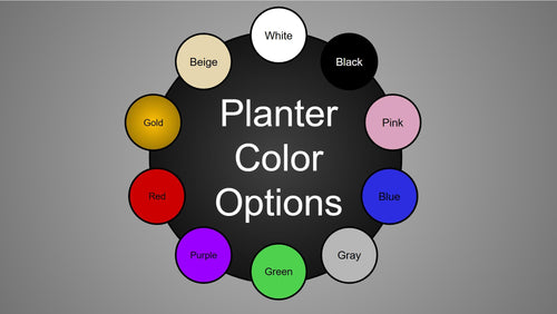 HexT Planter: Modern Twist PETG Plant Pot with Drainage